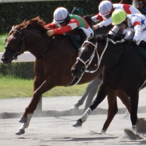 24プロキオンS最後の直線