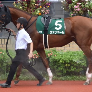 24シリウスSパドック