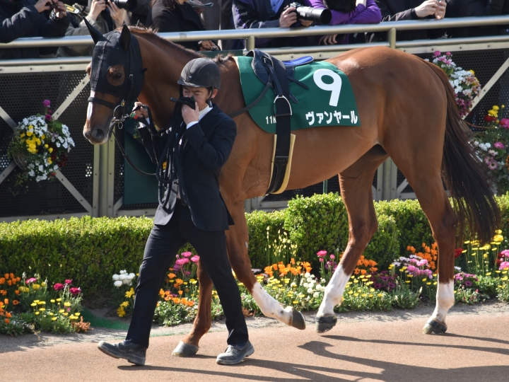 25マーチSパドック ヴァンヤール