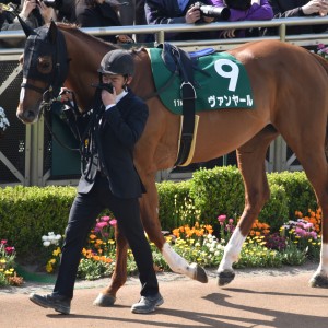 25マーチSパドック