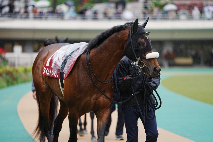 2023/5/13 京王杯スプリングC(G2) タイムトゥヘヴン