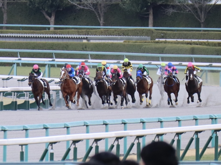 2021年12月 ソナトリーチェ