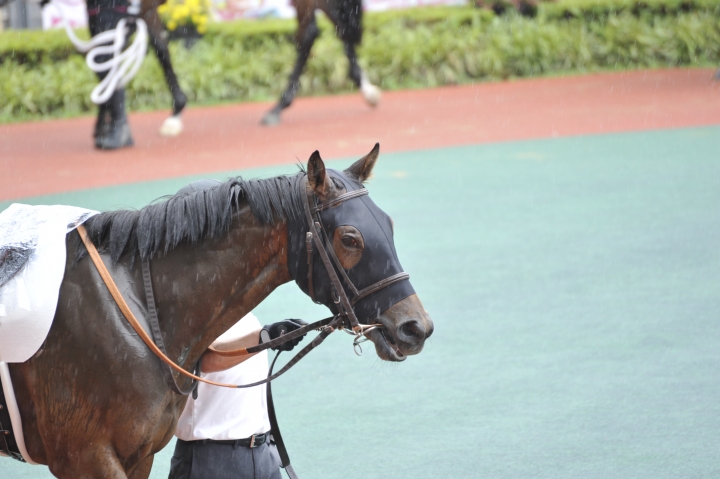 2021年6月 ソナトリーチェ