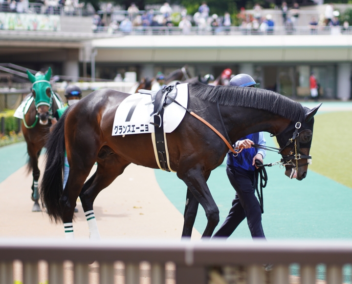 2021/4/24 3歳1勝クラス グランスエーニョ