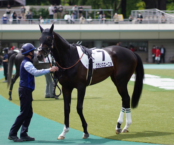 2021/4/24 3歳1勝クラス グランスエーニョ