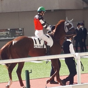 阪神競馬場　パドックにて