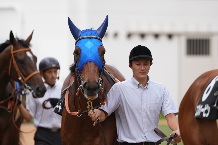 2023/9/23 九十九里特別(2勝クラス) アイアゲート