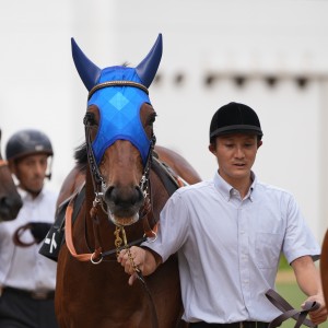2023/9/23 九十九里特別(2勝クラス)