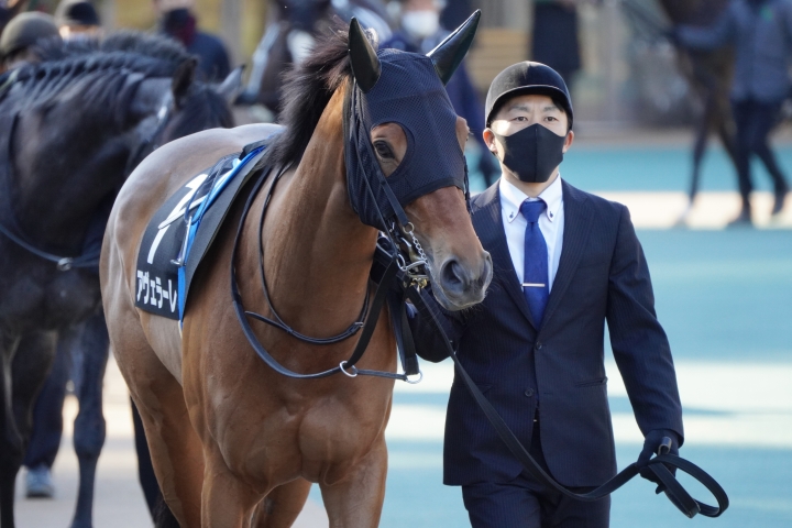 2023/1/29 節分S(3勝クラス) アヴェラーレ