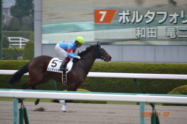 本馬場入場　返し馬 ジュディッタ