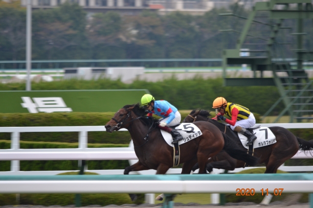 最後の直線　残り200付近 ジュディッタ