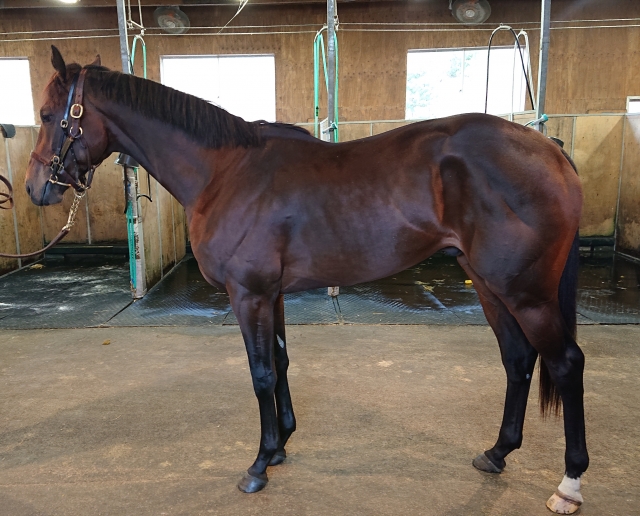 しがらき見学 ラッキーモー