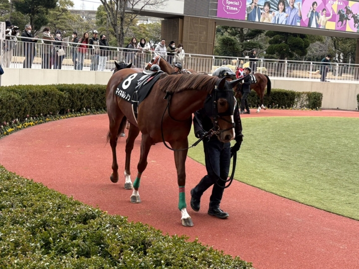 2025/2/15 下関S(3勝クラス) マイネルレノン