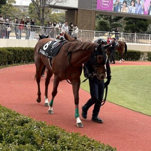 2025/2/15 下関S(3勝クラス)