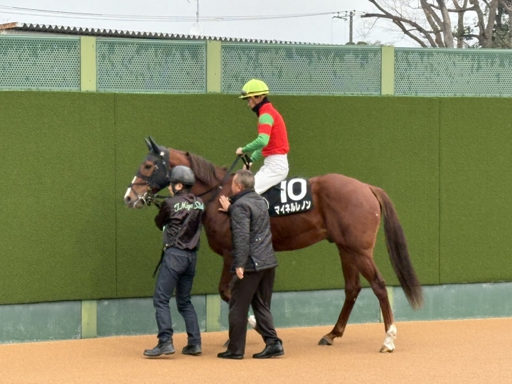 2025/1/6 サンライズS(3勝クラス) マイネルレノン