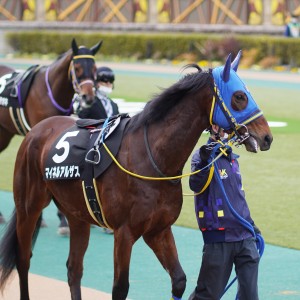 2022/2/19 フリージア賞(1勝クラス)