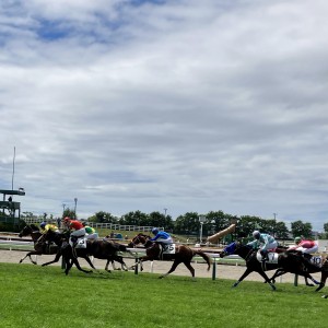 あと100だ、がんばれー