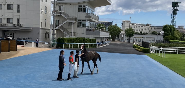 初勝利だ マイネルシーマー