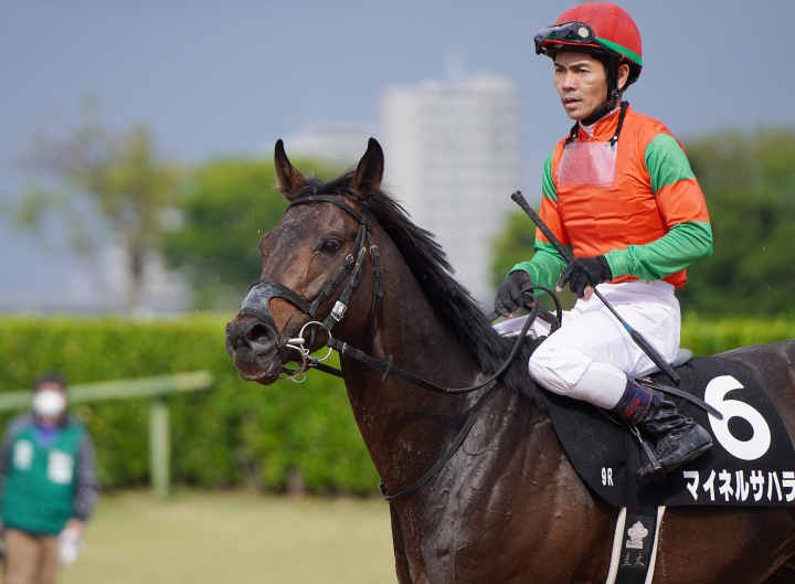 2023/4/16 利根川特別(2勝クラス) マイネルサハラ