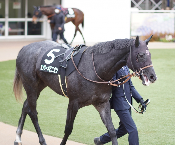 2022/1/23 若竹賞(1勝クラス) オンリーオピニオン