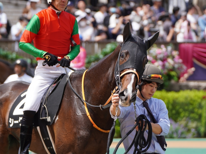 2023/5/28 青嵐賞(2勝クラス) シーグラス