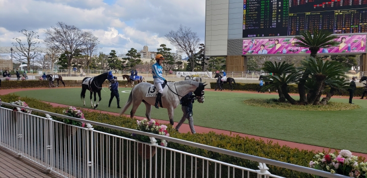 2022年2月 パフィリア