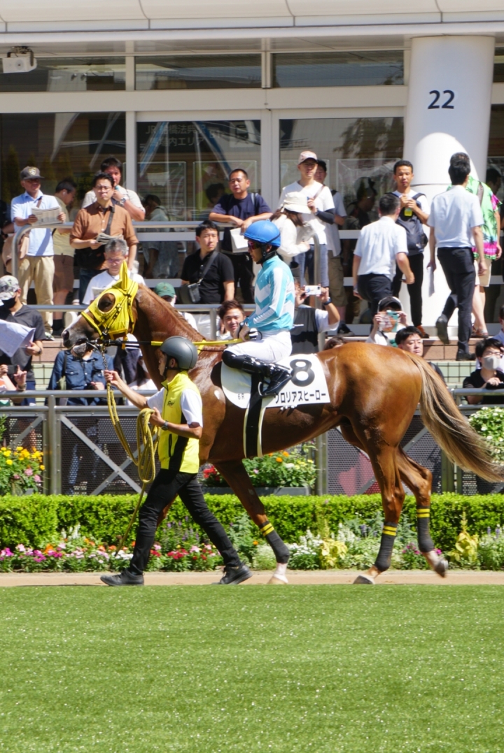 2024/9/15 3歳以上1勝クラス グロリアスヒーロー