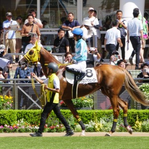 2024/9/15 3歳以上1勝クラス