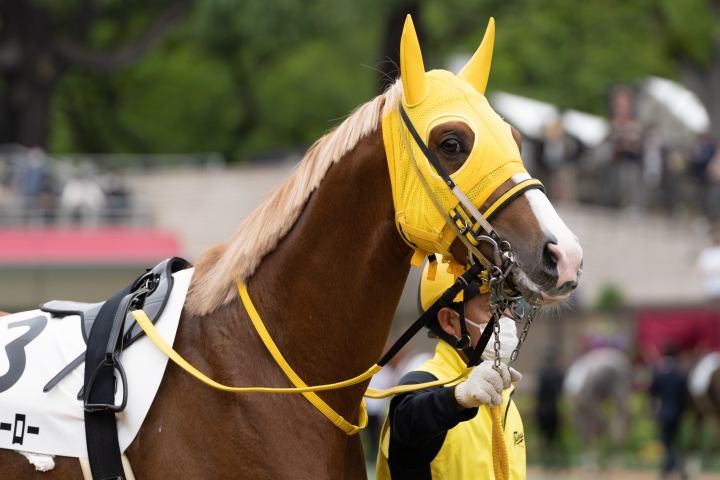 2022/4/24 3歳未勝利 グロリアスヒーロー