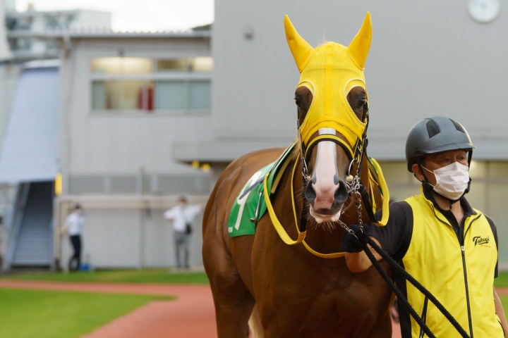 2022/7/6 ジュライフラワー賞 グロリアスヒーロー