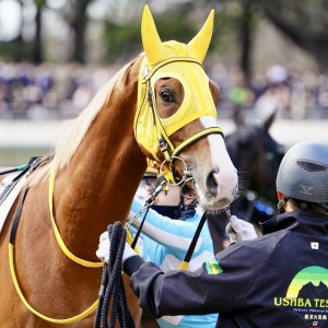 2024/1/28 4歳以上1勝クラス