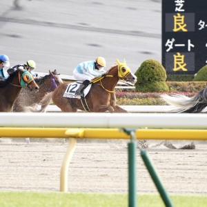 2024/1/28 4歳以上1勝クラス