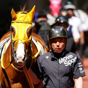 2026/4/19 4歳以上1勝クラス