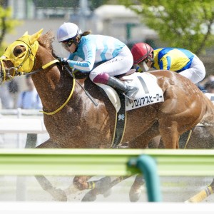 2026/4/19 4歳以上1勝クラス