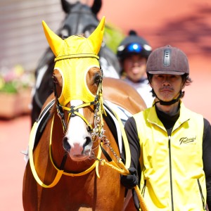 2026/5/2 4歳以上1勝クラス