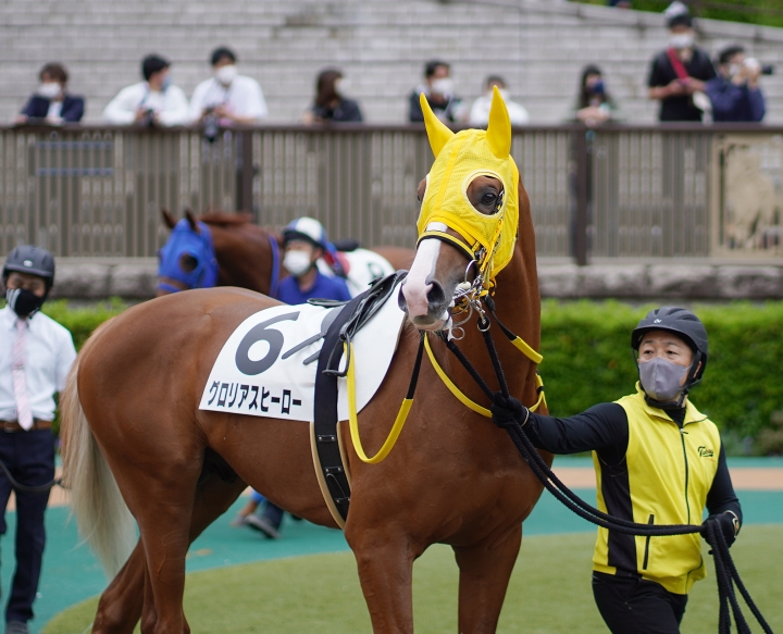 2022/5/15 3歳未勝利 グロリアスヒーロー