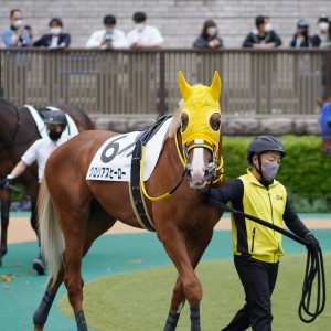 2022/5/15 3歳未勝利