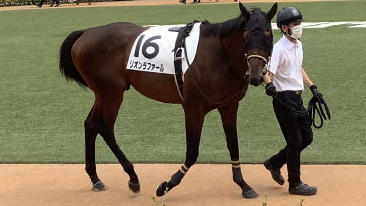 2021/9/11 2歳新馬 リオンラファール