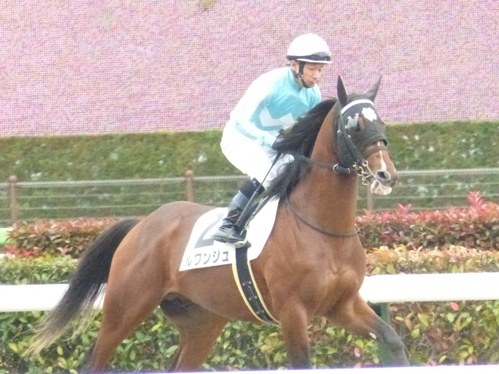 2021/11/21 2歳未勝利 ルワンジュ