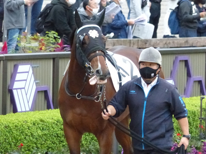 2021/11/21 2歳未勝利 ルワンジュ