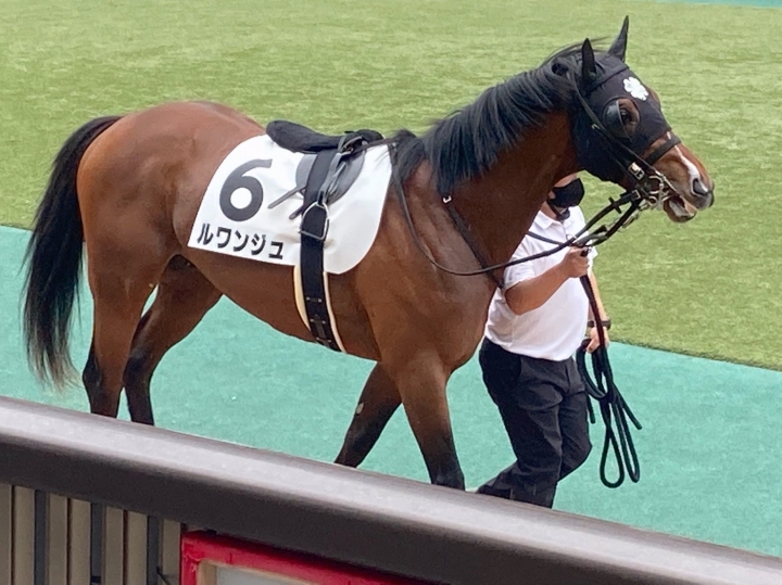 2022/4/24 3歳1勝クラス ルワンジュ