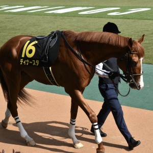 2022年5月プリンシパルS