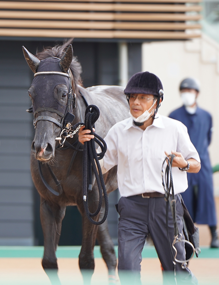 2022/9/24 3歳以上1勝クラス クラリティスケール