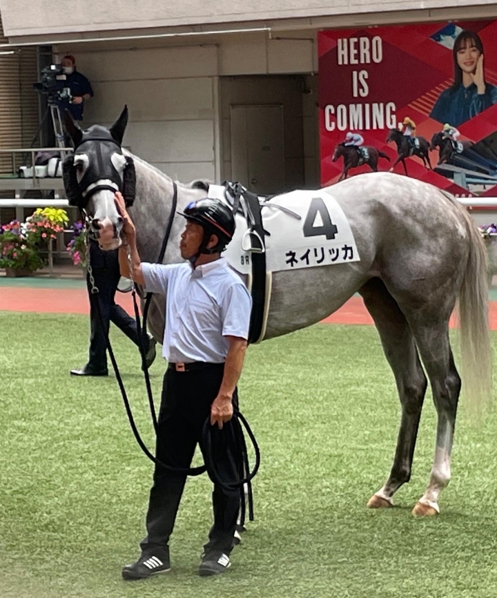 2022/7/24 3歳以上1勝クラス ネイリッカ