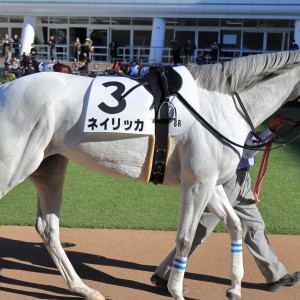 2025/12/7 3歳以上2勝クラス