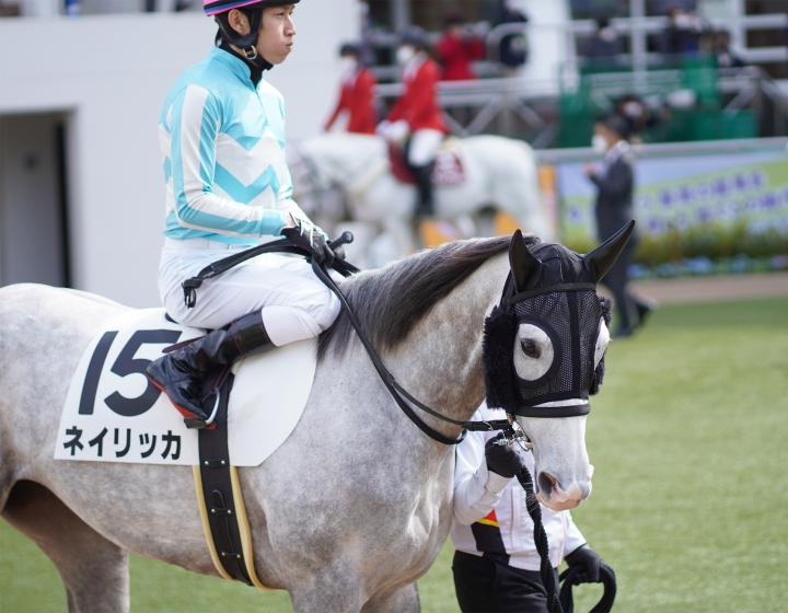 2022/3/13 3歳未勝利(牝) ネイリッカ