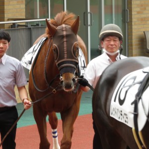 2022年6月