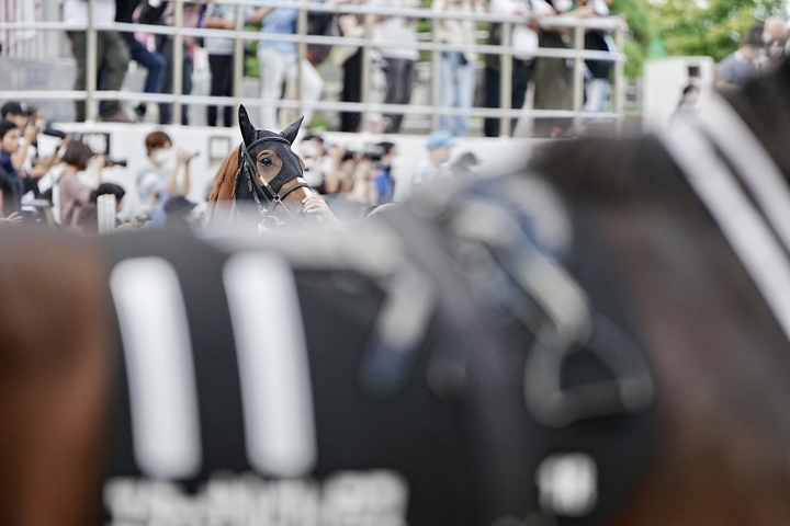 2023/9/30 秋風S(3勝クラス) シュヴェルトライテ