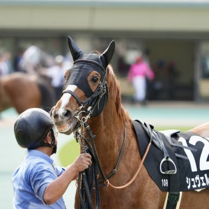 2024/4/20 湘南S(3勝クラス)