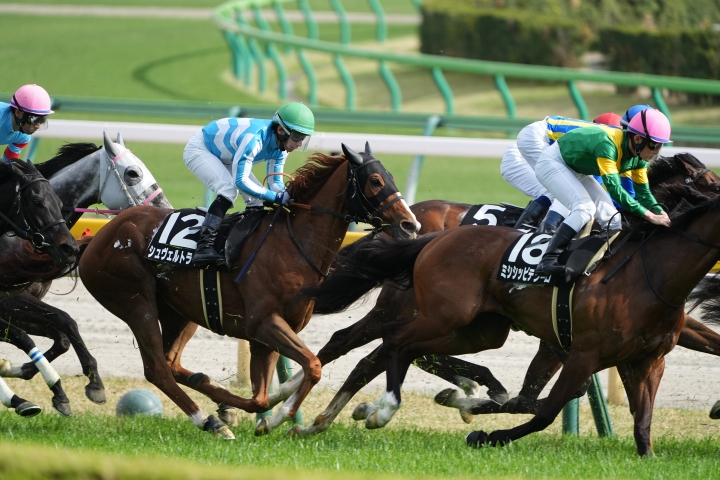 2024/4/20 湘南S(3勝クラス) シュヴェルトライテ